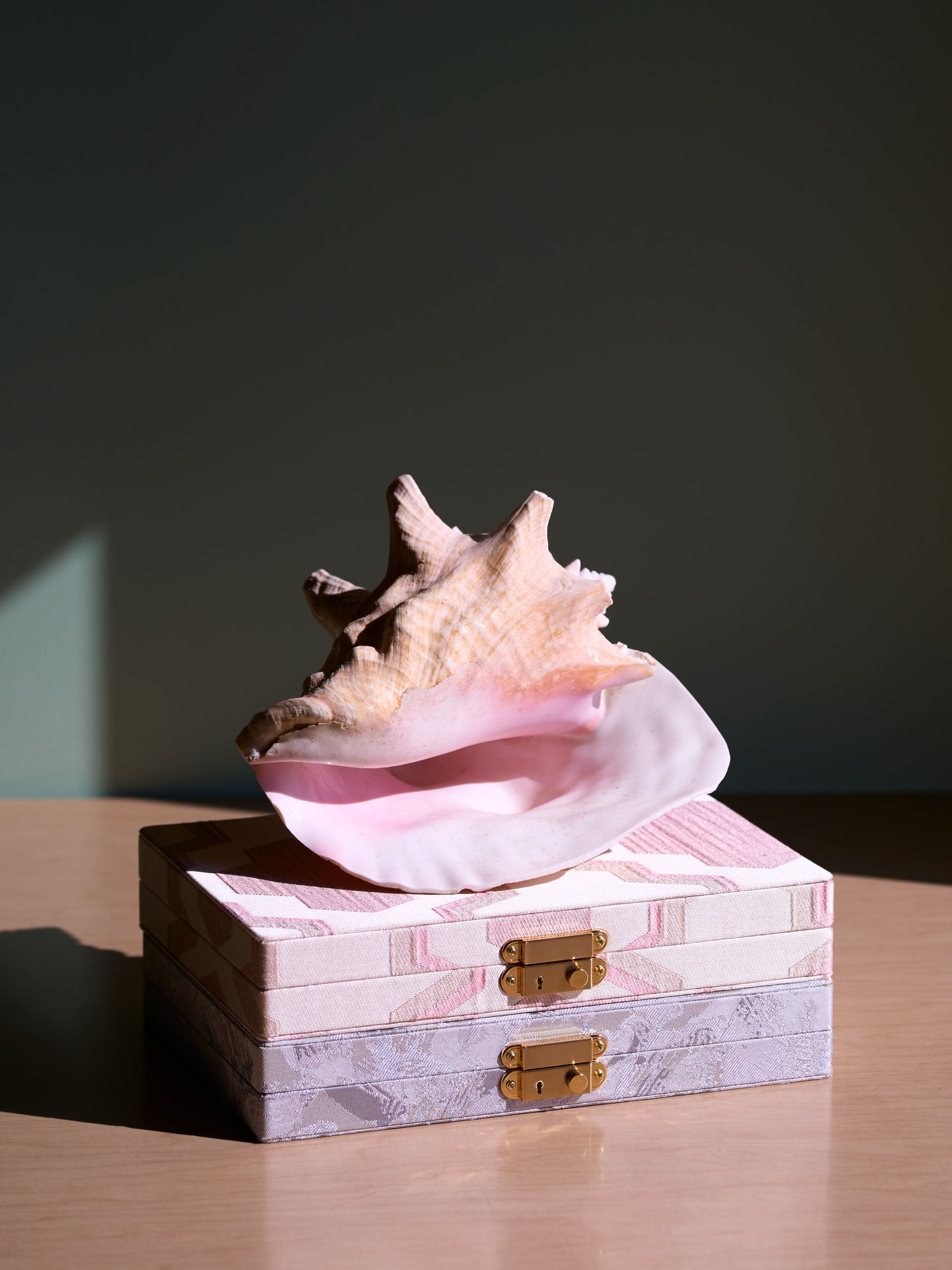 イメージ画像です